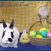 Nancy Hays Photo 19
