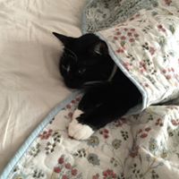 Julia Ritter Photo 16