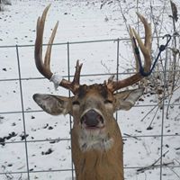 Ron Dunbar Photo 19 Ron Dunbar Photo 19