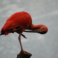 Anna Baumann Photo 28