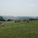 Jeff Adkins Photo 39