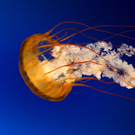 Keshia Brown Photo 21