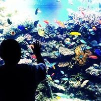 Martha Chavez Photo 20