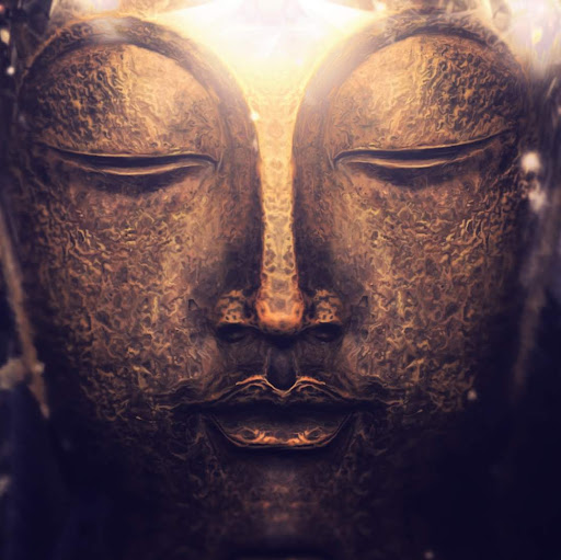 Robin Ward Photo 30 Robin Ward Photo 30