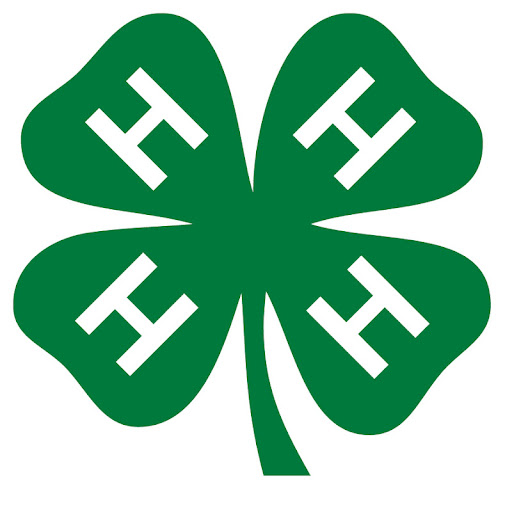 Staci Lewis Photo 40