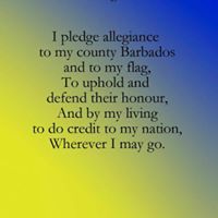 Cynthia Sylvester Photo 4