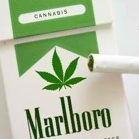 Stephen Melson Photo 19