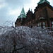 David Snow Photo 43