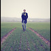 Jean Fields Photo 12