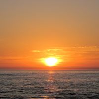 Cynthia Mcneil Photo 24