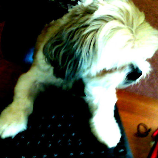 Jill Reeves Photo 40 Jill Reeves Photo 40