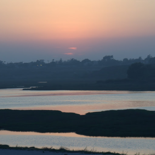 Darlene Matthews Photo 9