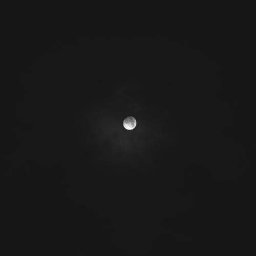 Megan Thomas Photo 47