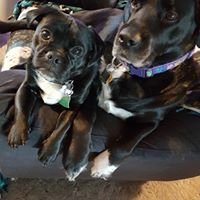 Vivian Brooks Photo 28