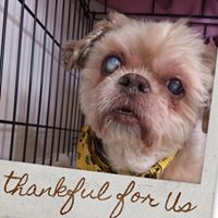 Jody Macdonald Photo 30