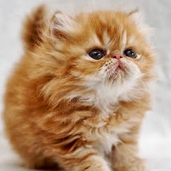 Christine Parry Photo 28