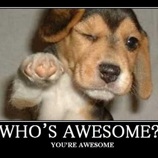 Jacqueline Stokes Photo 17