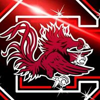 Debbie Vickery Photo 21