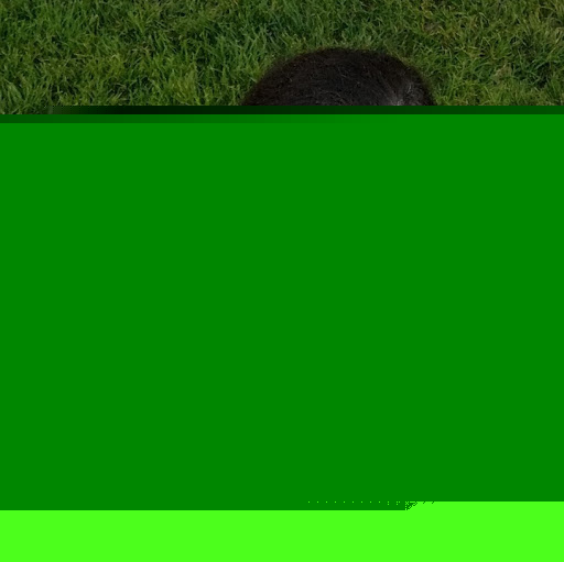 Kim Mcclendon Photo 8