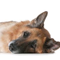 Mark Hartman Photo 17 Mark Hartman Photo 17