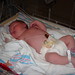 Alexander Erickson Photo 7