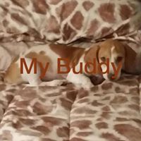 Julie Keller Photo 12