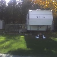 Edward Crandall Photo 18