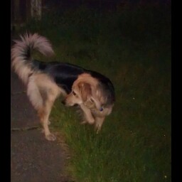 Angela Short Photo 37