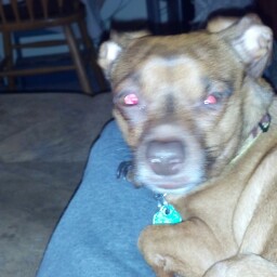 Debbie Crump Photo 8