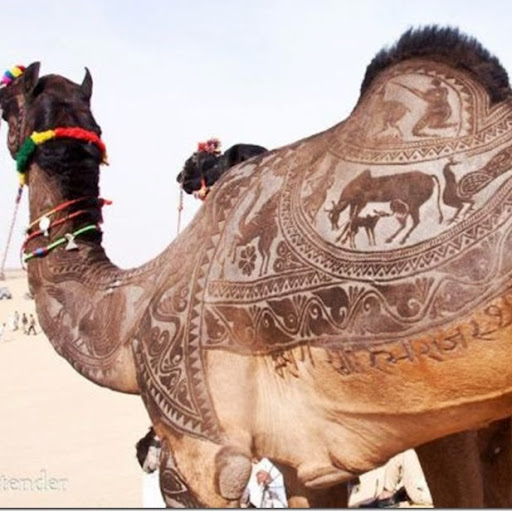 Dorothy Woods Photo 21