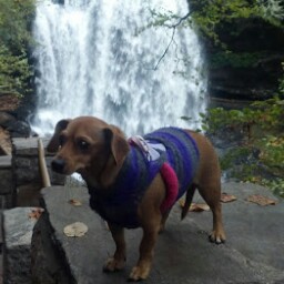 William Mead Photo 35