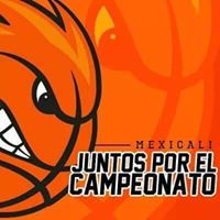 Shirley Kauffman Photo 13