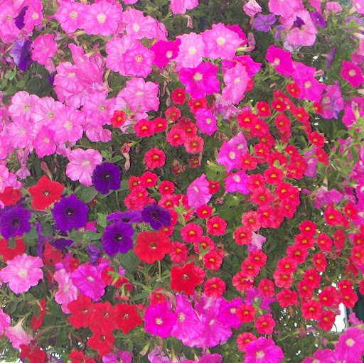 Sherry Meyer Photo 18