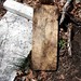 Mary Willett Photo 30