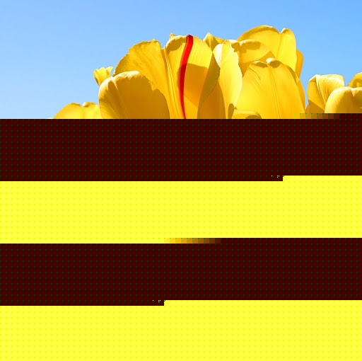 Yvette Adams Photo 21