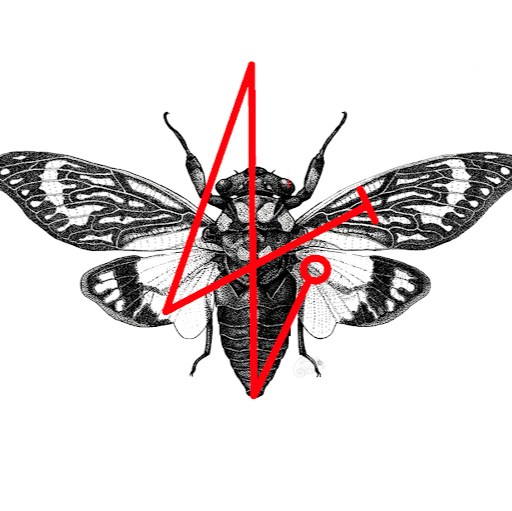 Enrique Roman Photo 14