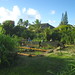 Ruth Weed Photo 17