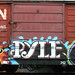 Sue Pyle Photo 15