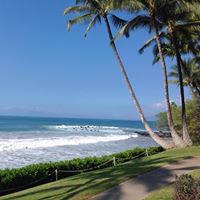 Pamela Mcswain Photo 4