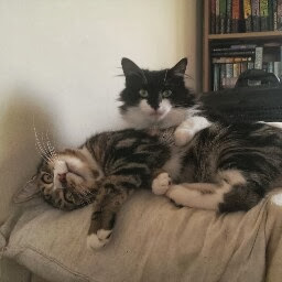 Robyn Chandler Photo 14