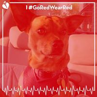 Judith Wolf Photo 17