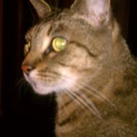 Cindy Nielsen Photo 21