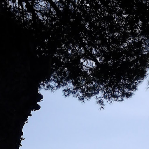 Lisa Ferreira Photo 23