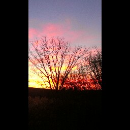 Eric Hanscom Photo 7