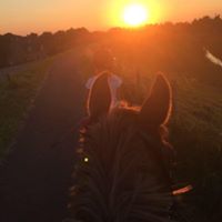 Christina Pham Photo 10