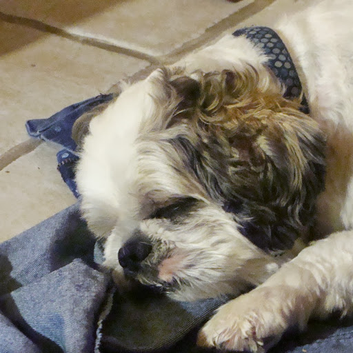 Tamara Mcclellan Photo 3