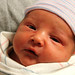 Thomas Conner Photo 41