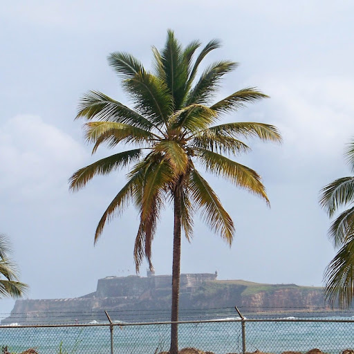 Cindy Stafford Photo 34