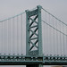 Steven Franklin Photo 42