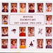 Denise Roberson Photo 34